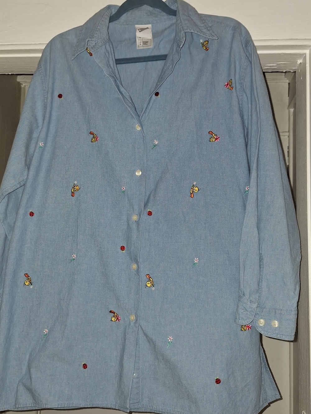 Light Blue Embroidered Button-Down Shirt - Women